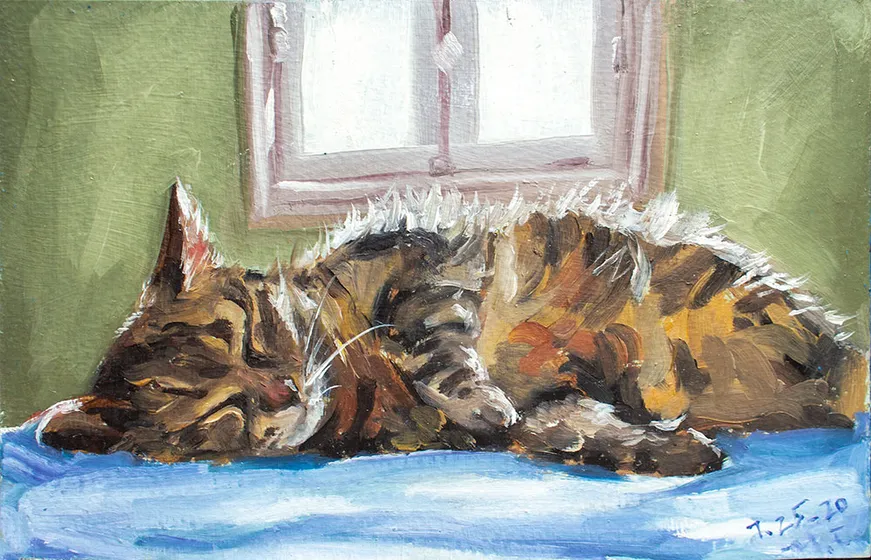 2020-lazy cat