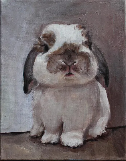 Lop-Eared Rabbit II