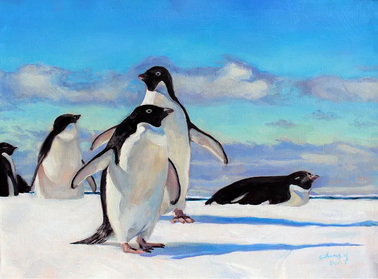 Penguin Haven