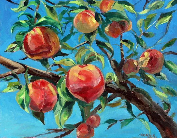 Sun-Kissed Peaches