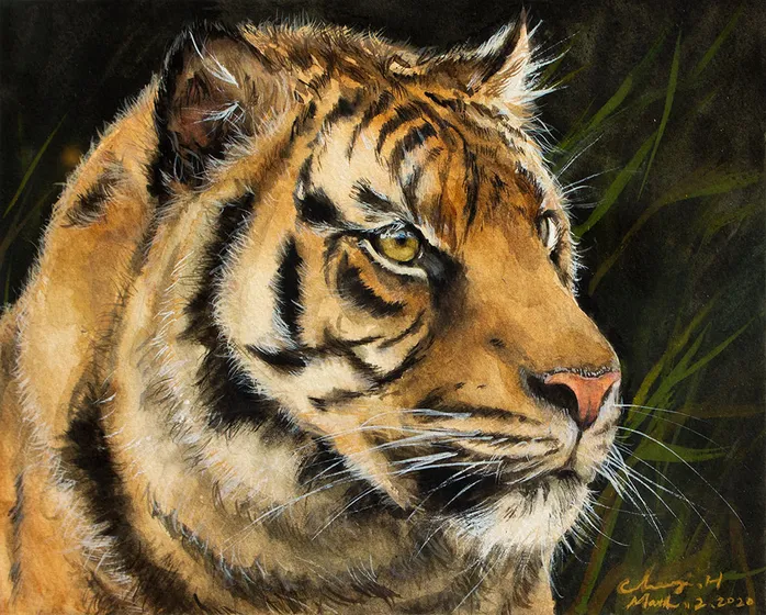 Tiger Portrait I