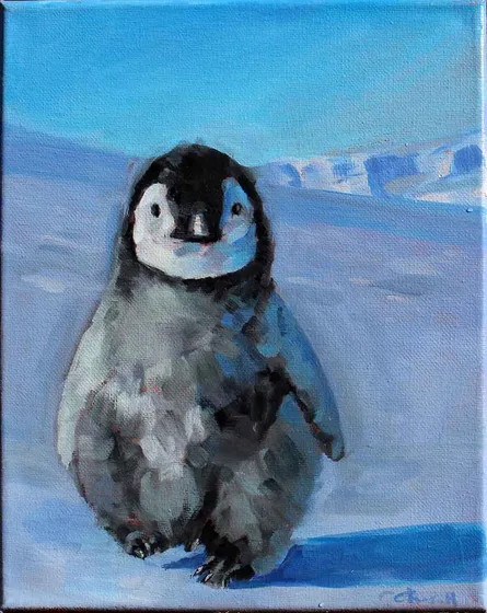 baby penguin