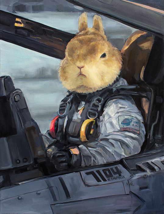 Furry Force- Fighter Pilot