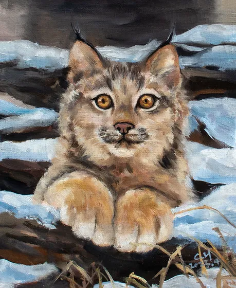 Frostpaw Lynx