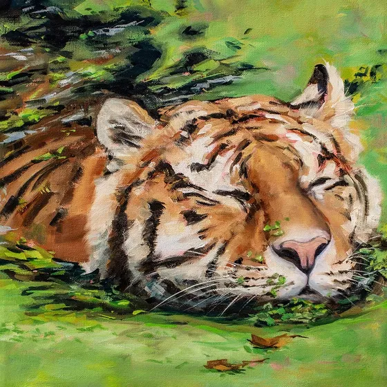 Tiger in the Duckweed